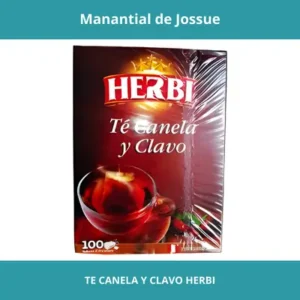 TE CANELA Y CLAVO HERBI X100UN