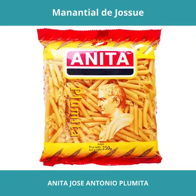 ANITA JOSE ANTONIO PLUMITA X5KG