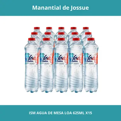 ISM AGUA DE MESA LOA CONT.NETO 625ML X15