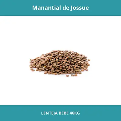 LENTEJA BB X46KG
