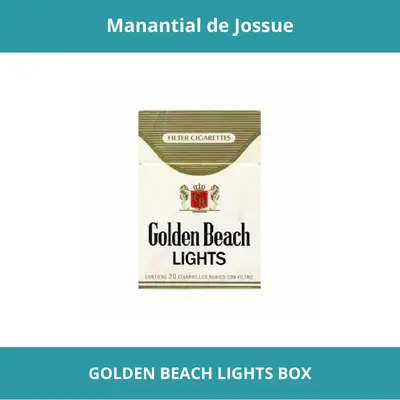 GOLDEN BEACH LIGHTS BOX DE 10BOXES