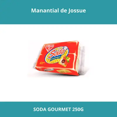 SODA GOURMET 250G x12