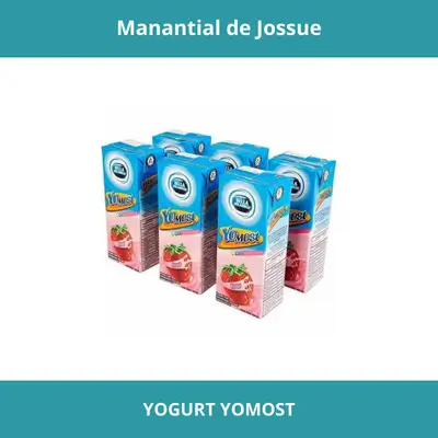 YOGURT YOMOST X6
